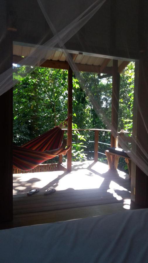 Jungle Paunch Βίλα Μπόκας ντελ Τόρο Εξωτερικό φωτογραφία