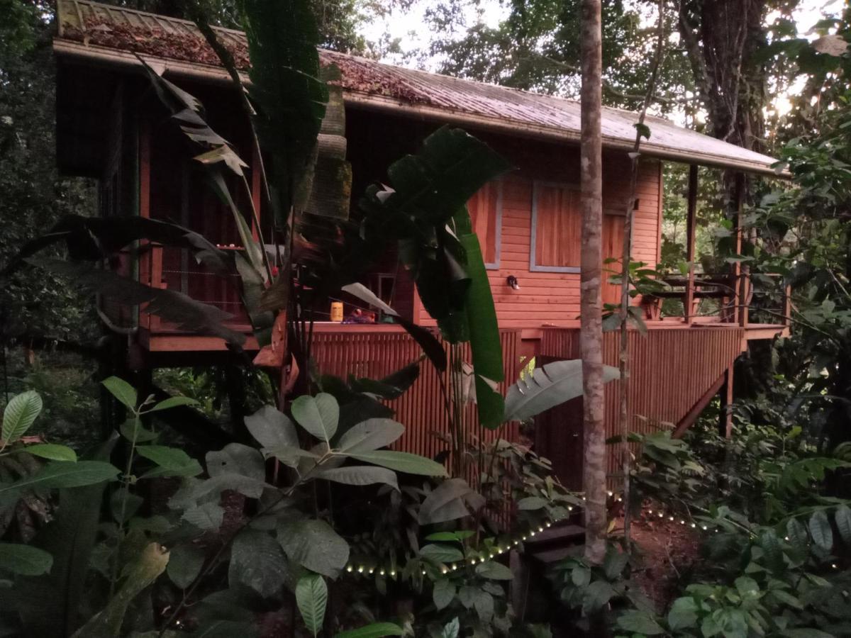 Jungle Paunch Βίλα Μπόκας ντελ Τόρο Εξωτερικό φωτογραφία