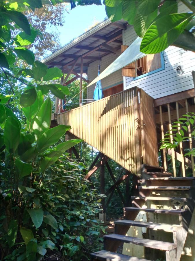Jungle Paunch Βίλα Μπόκας ντελ Τόρο Εξωτερικό φωτογραφία