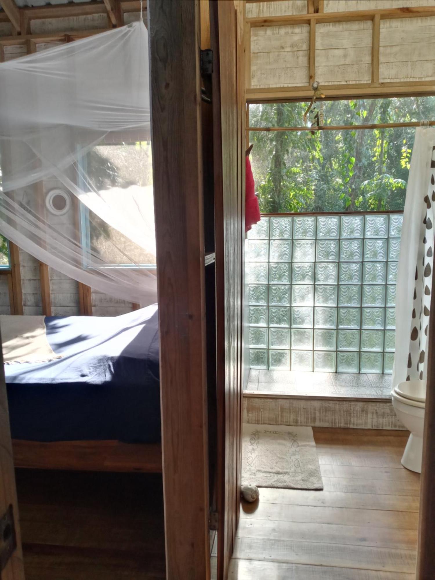 Jungle Paunch Βίλα Μπόκας ντελ Τόρο Εξωτερικό φωτογραφία